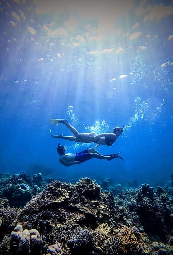 Snorkeling around 3 island & turtle sanctuary - How the 3-Gili Route Runs in a 4-Hour Tour
