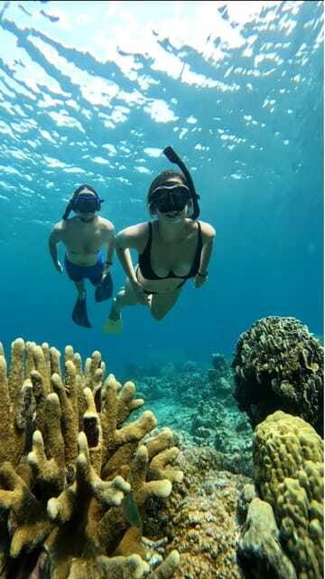 Snorkeling around 3 island & turtle sanctuary - Gili Air Garden Fish, Plus a Real Lunch Break
