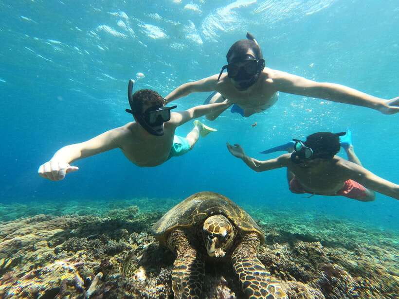 Snorkeling around 3 island & turtle sanctuary - Turtle Point Swim With Turtles: The Main Moment