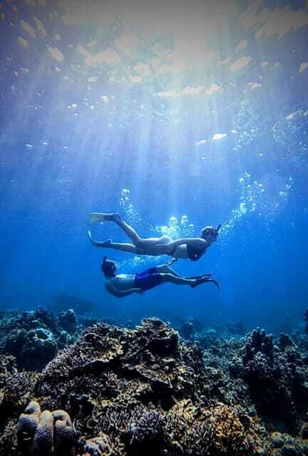 Snorkeling around 3 island & turtle sanctuary - Meeting Point in Gili Trawangan, and How to Keep It Easy