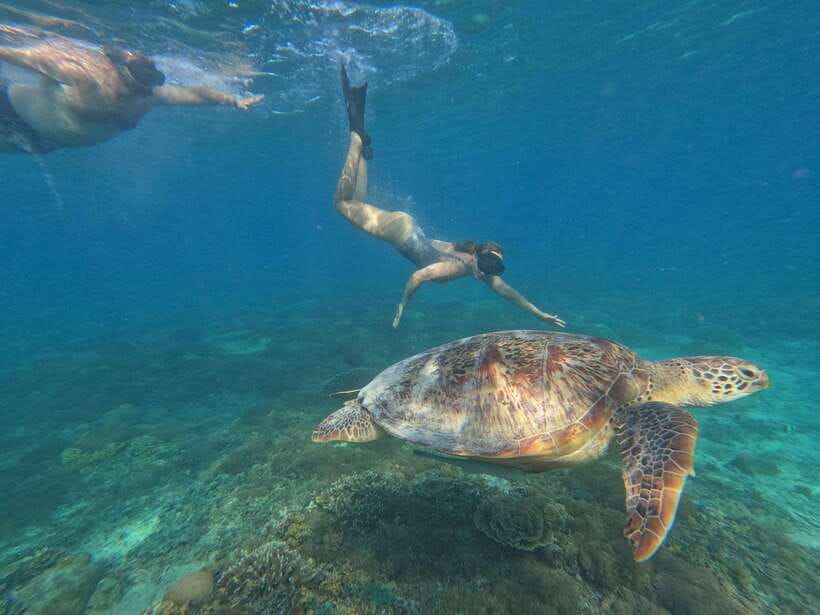 Snorkeling around 3 island & turtle sanctuary - Who This Snorkeling Tour Is Best For