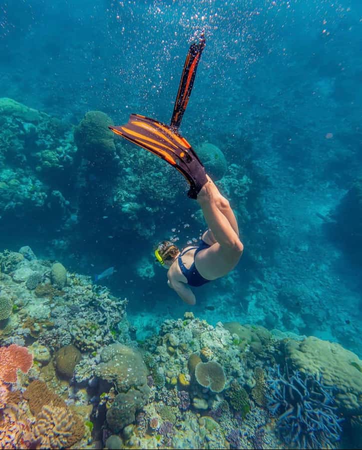 Snorkeling at Blue Lagoon, Tanjung Jepun and Waterfall - Key highlights you should care about