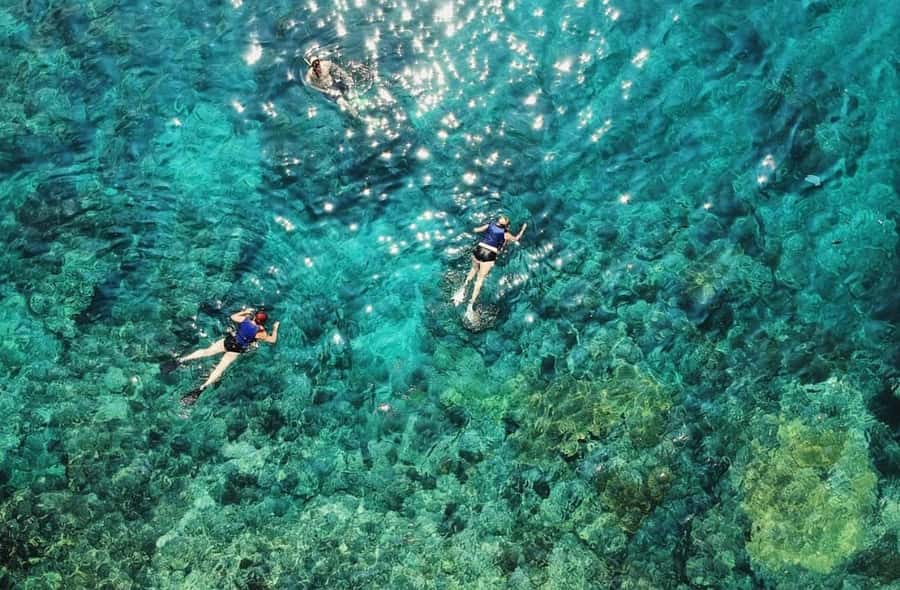 Snorkeling at Blue Lagoon, Tanjung Jepun and Waterfall - Spot One: Blue Lagoon for coral reefs, colorful fish, and turtle chances