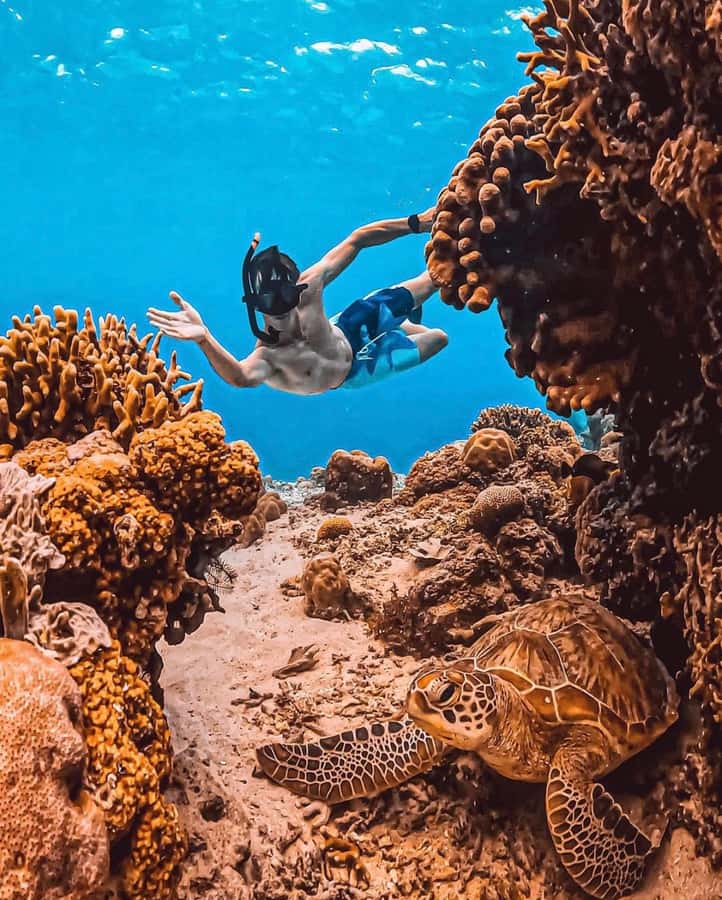 Snorkeling at Blue Lagoon, Tanjung Jepun and Waterfall - How the traditional boat ride and gear setup affect your snorkeling