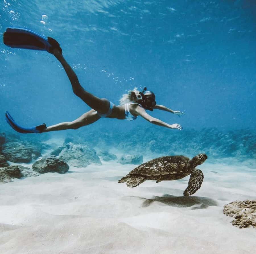 Snorkeling at Blue Lagoon, Tanjung Jepun and Waterfall - Price and timing: what $67 gets you, and when it’s worth it