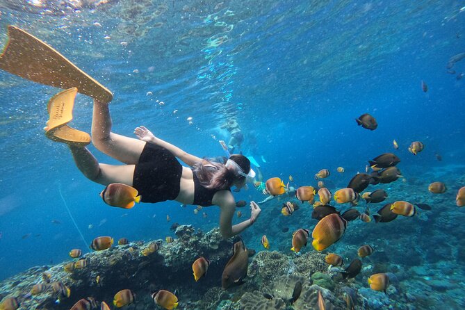 Snorkeling Day Trip To Lembongan and Penida - Key highlights worth planning for