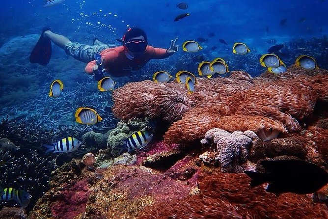 Snorkeling Day Trip To Lembongan and Penida - Getting Set Up at D’camel and Lembongan Watersport