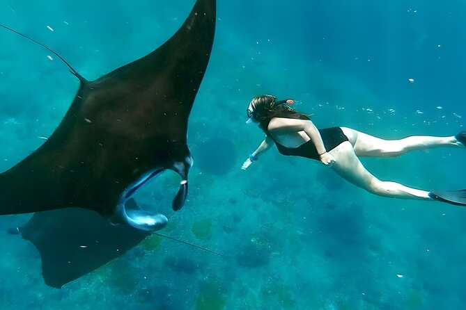 Snorkeling In Nusa Penida Departing From Bali Island - Key things to know before you go
