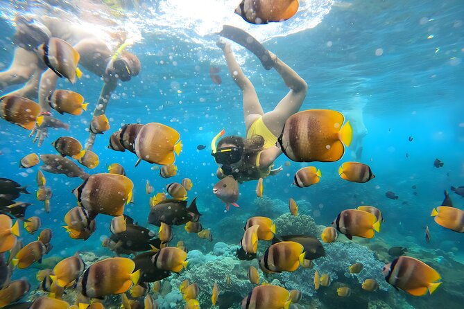 Snorkeling In Nusa Penida Departing From Bali Island - Shared transport, but a small-group feel once you are in the action