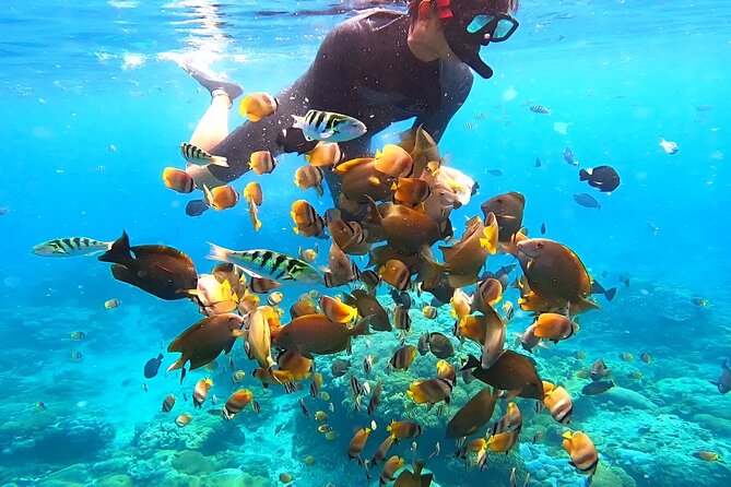 Snorkeling In Nusa Penida Departing From Bali Island - Wall Bay Point: similar name, same idea, plan for quick-changing conditions