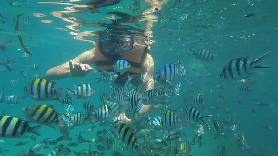 Snorkeling Kayaking Fishing Swimming Activities - Getting From Bintan and Tanjung Pinang To the Water