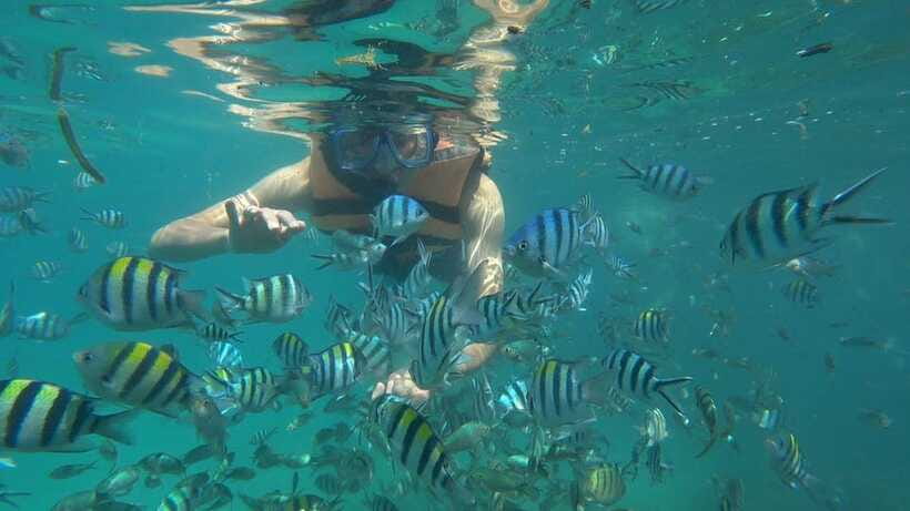 Snorkeling Kayaking Fishing Swimming Activities - Kayak Transfer to White-Sand Beaches and Green Views