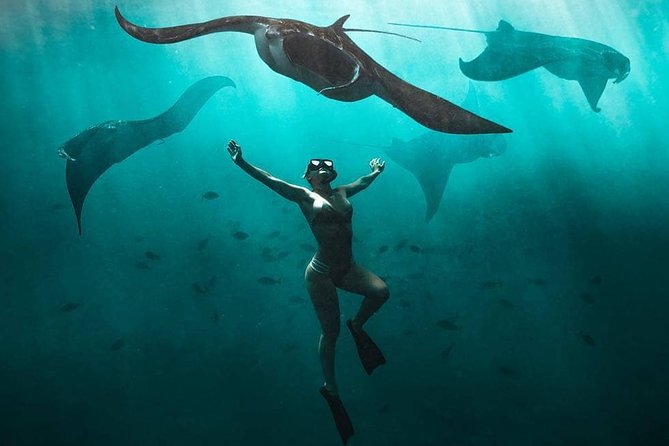 Snorkeling Manta Ray Safari in Nusa Penida - Key things I’d plan around