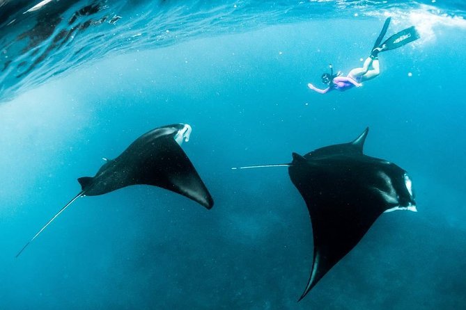 Snorkeling Manta Ray Safari in Nusa Penida - Your day on the water: Toyapakeh launch and four typical snorkeling zones