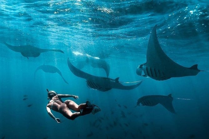 Snorkeling Manta Ray Safari in Nusa Penida - Gear, towel, and the photo package that saves your memories