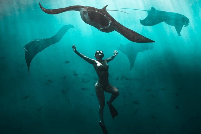 Snorkeling with Manta Rays in Nusa Penida Experience (All-Inclusive) - Key things to know before you go