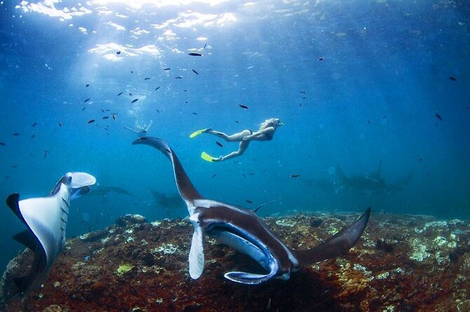 Snorkeling with Manta Rays in Nusa Penida Experience (All-Inclusive) - What’s included in the water time: gear, life jackets, small boat size, and GoPro media