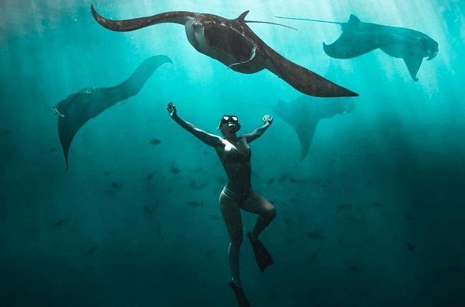 Snorkeling with Manta Rays in Nusa Penida Experience (All-Inclusive) - Price and value: is $210.97 a fair deal?