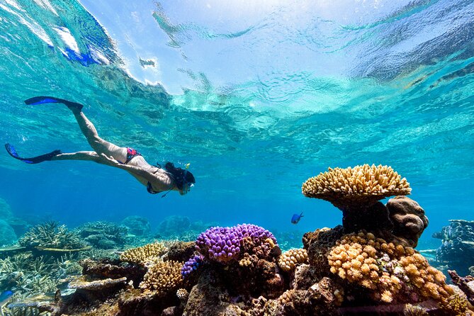 Snorkeling with Manta Rays in Nusa Penida Experience (All-Inclusive) - From Seminyak pickup to Sanur boarding, the schedule is built for less hassle