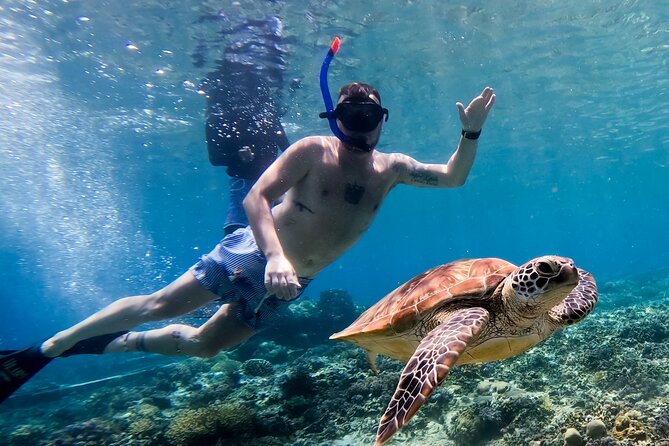 Snorkeling with turtle and statue in Gilis - Glass-bottom boat time, it’s not just a gimmick