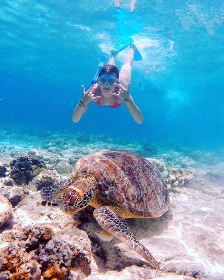 Snorkelling Gili Trawangan, Gili Air & Gili Meno from Lombok - Gili Air Fish Feeding, Rinjani Views, and the Best Lunch Break