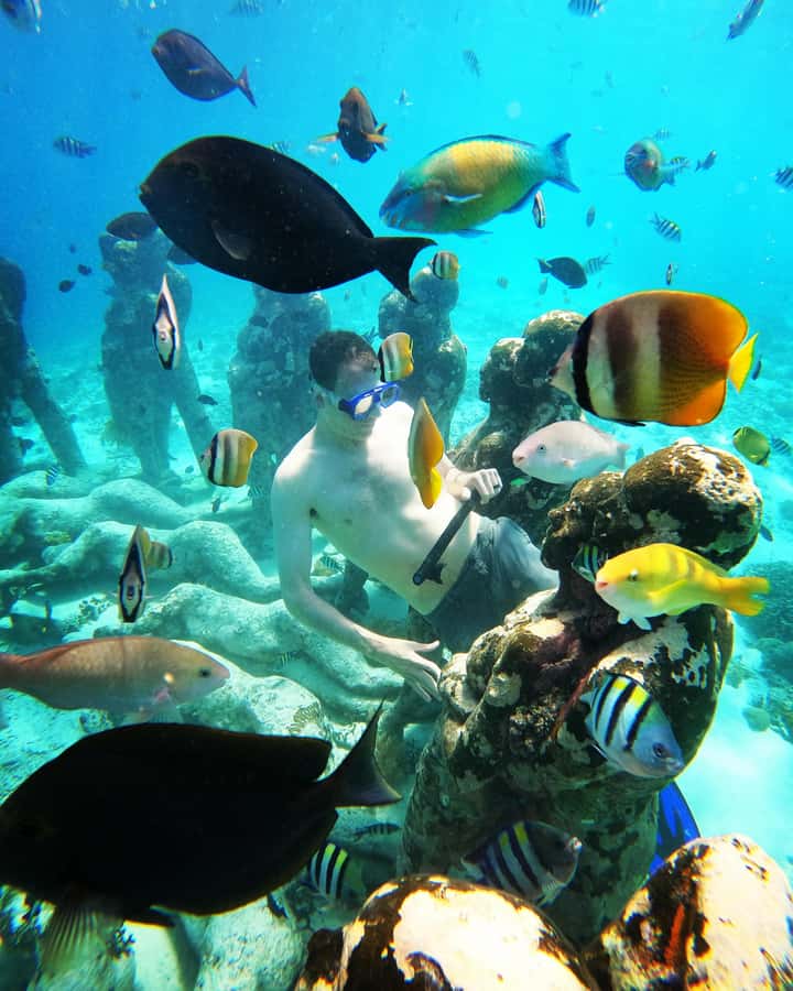 Snorkelling Gili Trawangan, Gili Air & Gili Meno from Lombok - Pacing and Timing, When You Might Feel Rushed