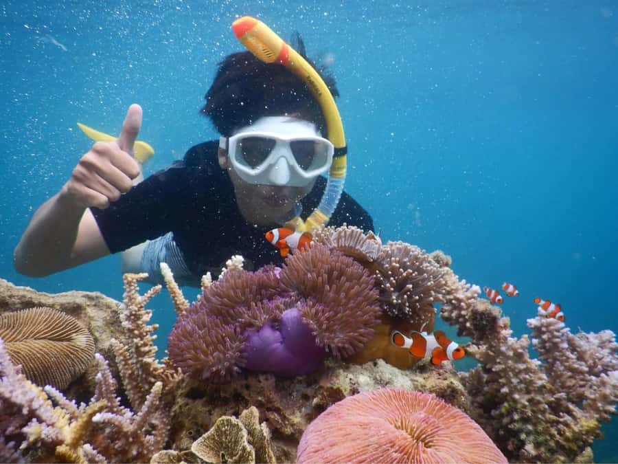 Snorkelling & islandhopping tour Karimunjawa (sharing tour) - Key takeaways before you go