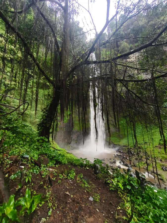 Start 10am Bandung Group Tour Volcano, Waterfalls, Hotspring - Tangkuban Perahu volcano: your first big viewpoint