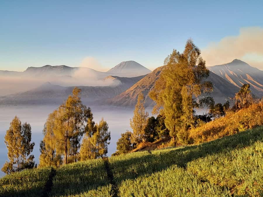 Start From Surabaya: Mount Bromo Sunrise Shared Guided Tour - Key things to know before you go
