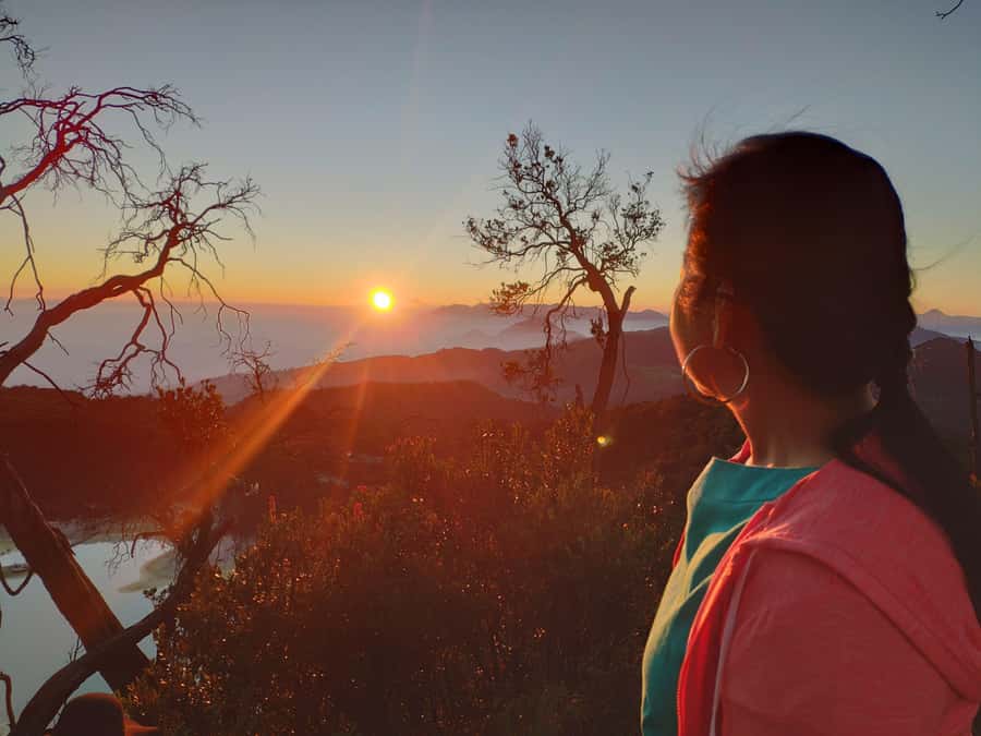 Sunrise Sunan Ibu,Kawah Putih,Volcano,Tea factory,Hot spring - Ranca Upas deer conservation: a gentle, memorable animal encounter