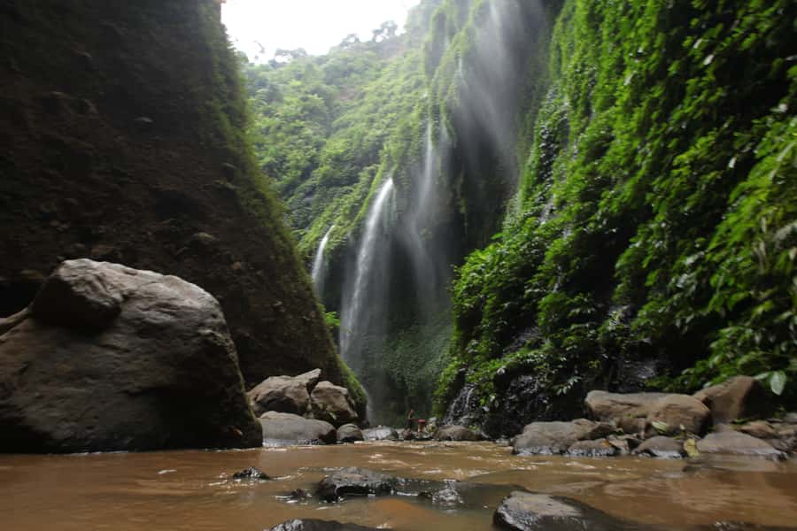 Surabaya: Bromo Sunrise & Madakaripura Falls Full-Day Tour - Penanjakan vs King Kong Hill, and how guides help you find the best view