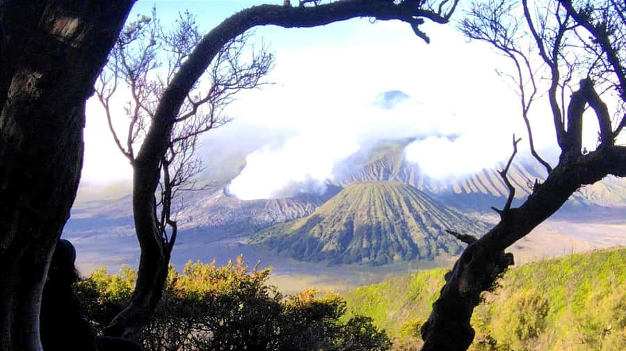 Surabaya or Malang : Bromo, Tumpaksewu waterfall in 2 days - Surabaya or Malang to Tumpak Sewu and Bromo, in 48 hours