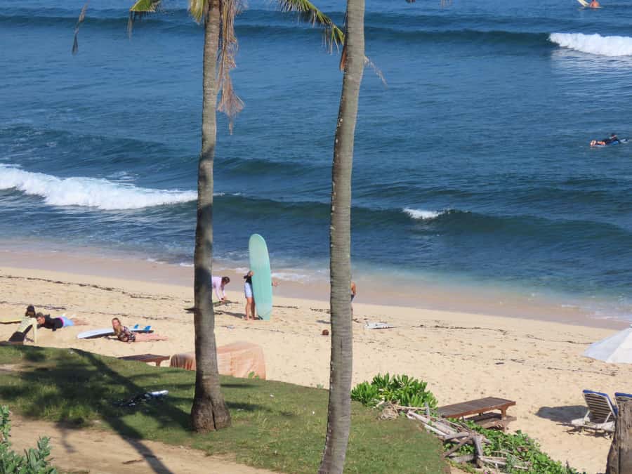 Surf Lessons in Uluwatu for All Levels - Safety and Wave Selection: How You Learn Faster
