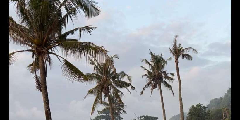 SURFA BALI curated surf lesson + trip to spots (Beg. & Int.) - The Real Deal: 2 Hours in the Water, Not Just a Trial Run