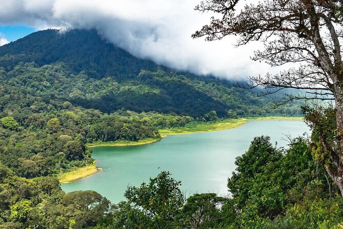 Tanah Lot and North Bali Tour: Scenic Journey - Wanagiri Hidden Hills: the view stop that breaks the drive