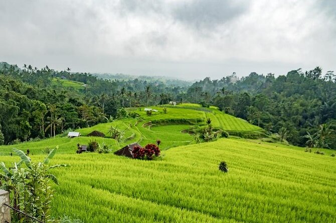 Tanah Lot and North Bali Tour: Scenic Journey - Pura Batu Bolong: the rock temple with a hole in the sea rock