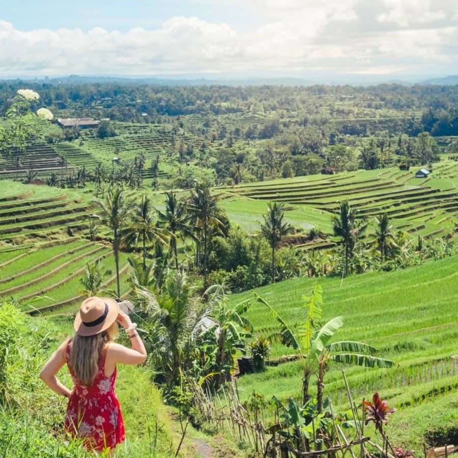 Tanah Lot-Nung Nung Waterfall-Jatiluwih and Bedugul - Key highlights you’ll care about