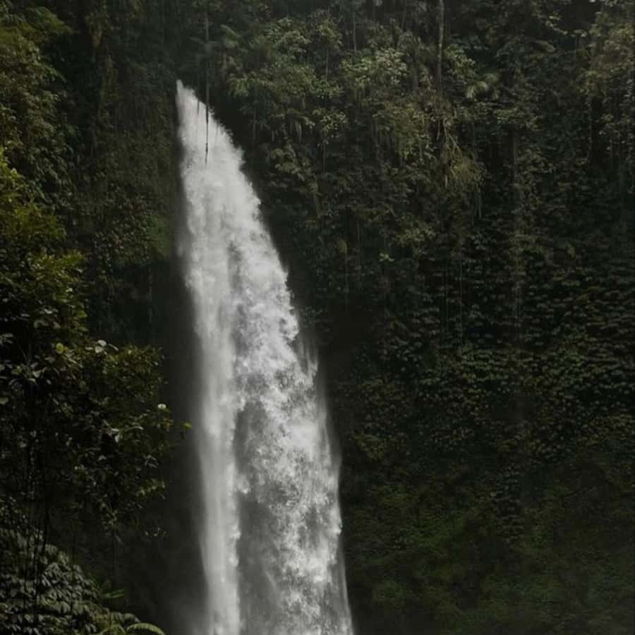 Tanah Lot-Nung Nung Waterfall-Jatiluwih and Bedugul - The road-time reality of an 8-hour day