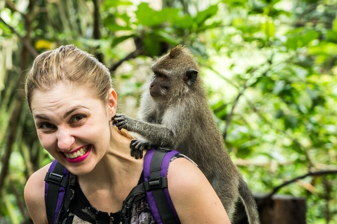 Tanah Lot Tour with Ubud Monkey Forest, Rice Terraces, and Waterfalls - One Day, Four Worlds: How the Route Fits Together