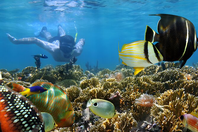 Tanjung Benoa Water Sports: All Inclusive Bali Activities - Banana boat and other shared-fun options: choose your pace