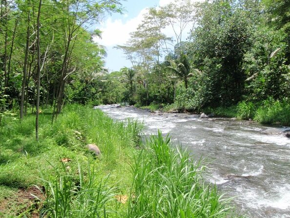 Telaga Waja River Rafting Bali & Zipline (Less Stairs) - Telaga Waja Rapids, Grade II-III, and Why the Mix Works