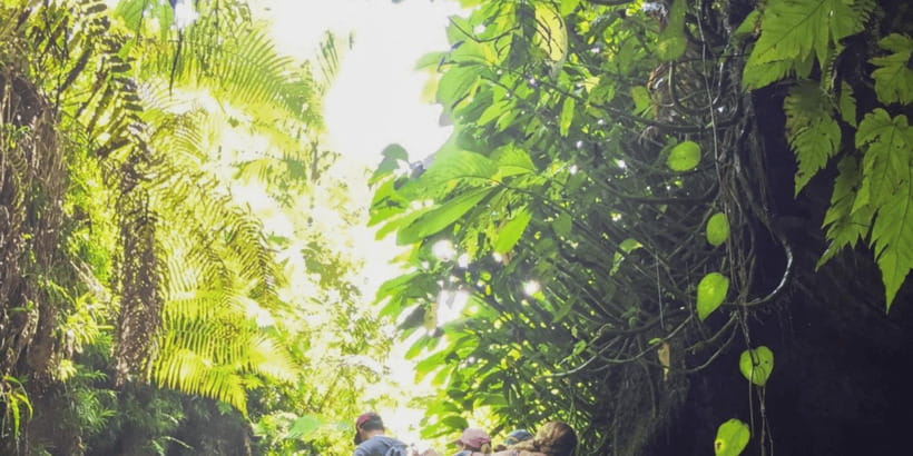 Tetebatu: Rice Fields, Waterfall, & Monkey Forest Day Tour - 8 AM Pickup and a Small-Group Rhythm