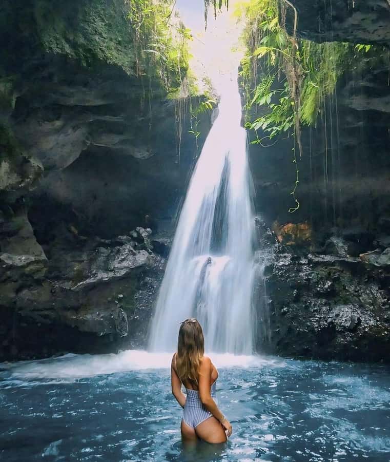 Tetebatu : Walk on Rice Terrace, Waterfall and Black Mongky - Key highlights you will care about