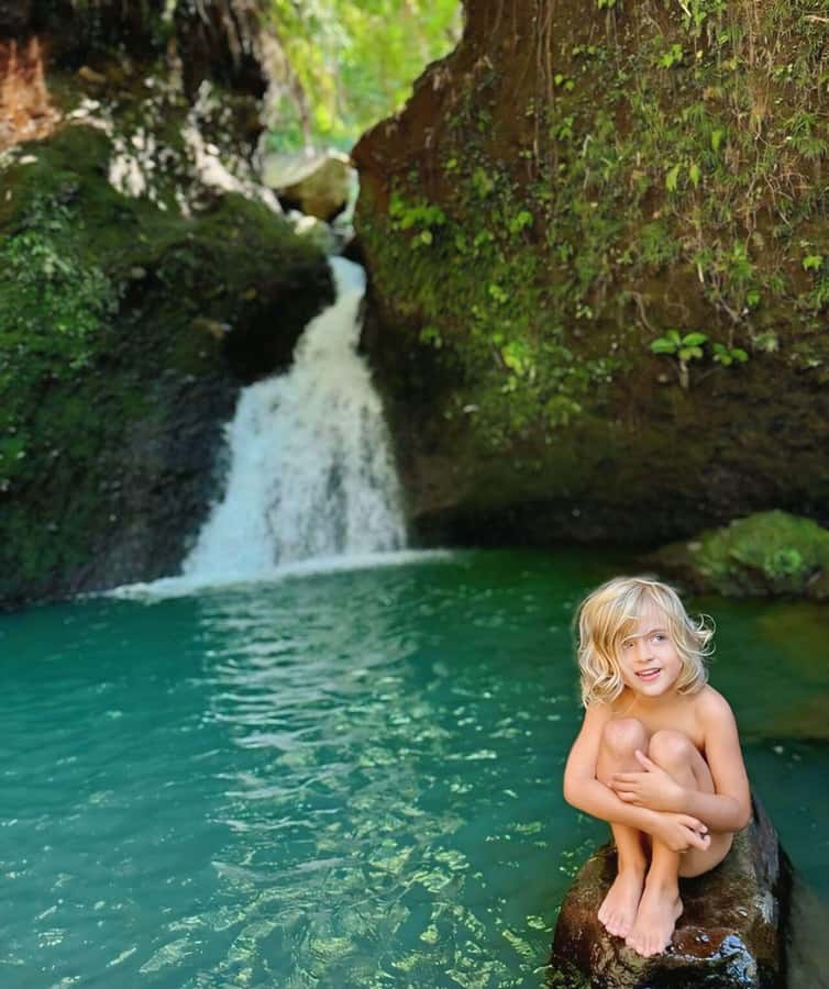 Tetebatu : Walk on Rice Terrace, Waterfall and Black Mongky - Black Monkey spotting in Mount Rinjani National Park