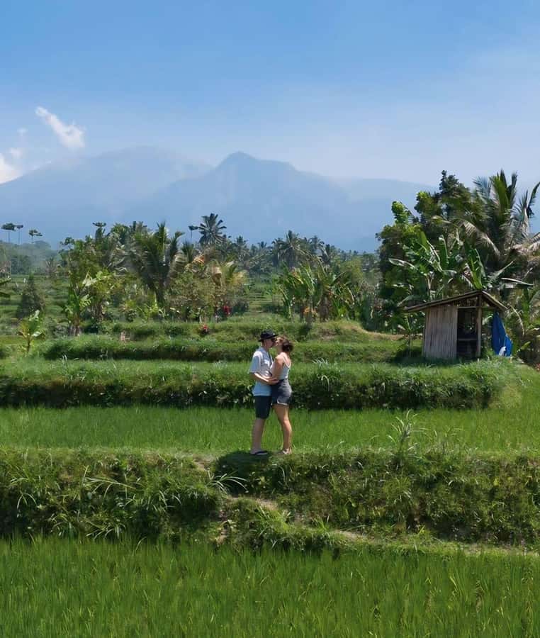 Tetebatu : Walk on Rice Terrace, Waterfall and Black Mongky - How meeting point and pickup work in real life