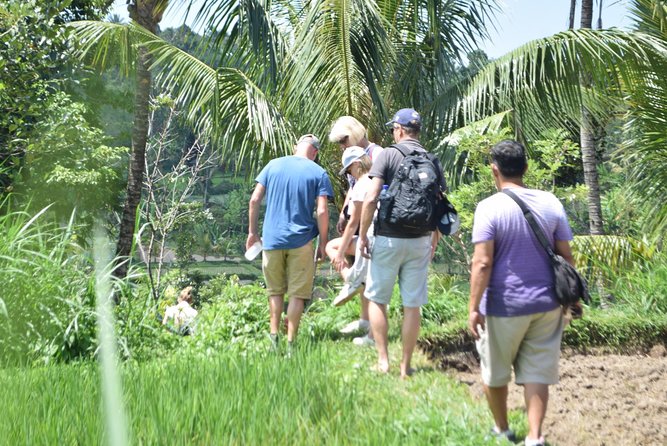 Tetebatu Walking Tour - Rice Terraces, Waterfall & Monkey Forest - Tetebatu feels different from Lombok’s beach towns