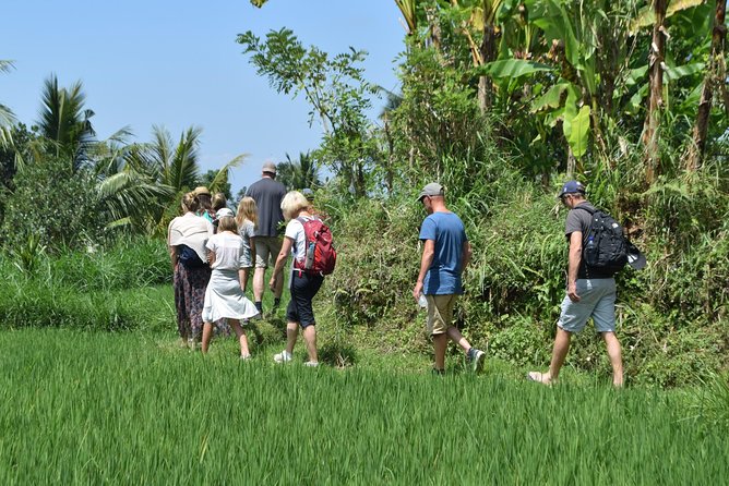 Tetebatu Walking Tour - Rice Terraces, Waterfall & Monkey Forest - Waterfalls at Burung Walet and Tetebatu: twice the fun, twice the footing