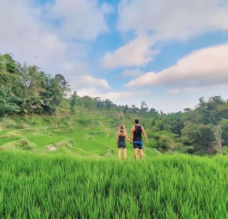 Tetebatu : Waterfall, Rice Fields & Monkey Forest Full day - Key takeaways before you go