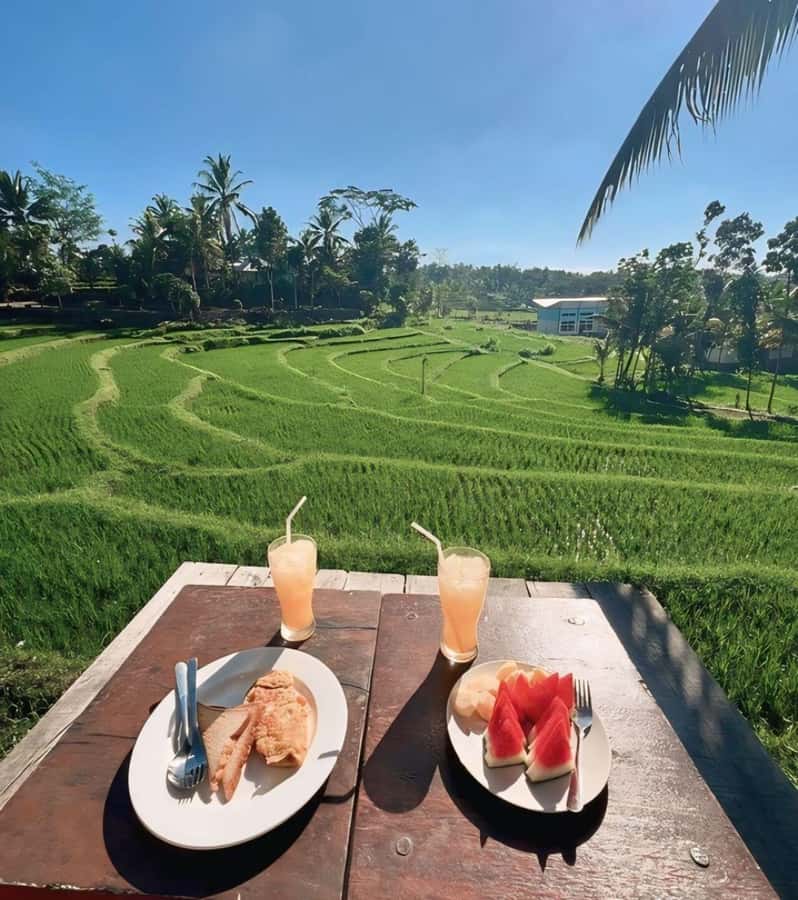Tetebatu : Waterfall, Rice Fields & Monkey Forest Full day - Monkey Forest in the Mount Rinjani area: seeing black monkeys in the jungle
