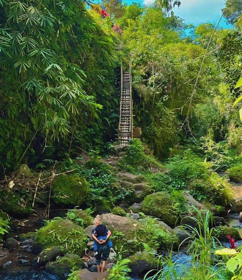 Tetebatu : Waterfall, Rice Fields & Monkey Forest Full day - Price and value: is $86 per person a smart buy?